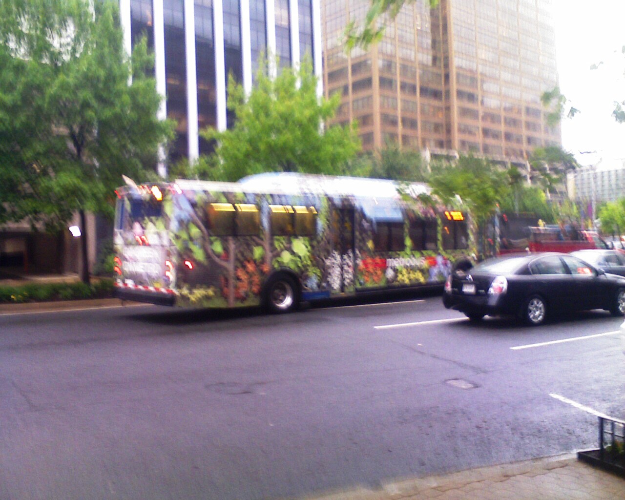 Even the bus I rode was green (At least today)